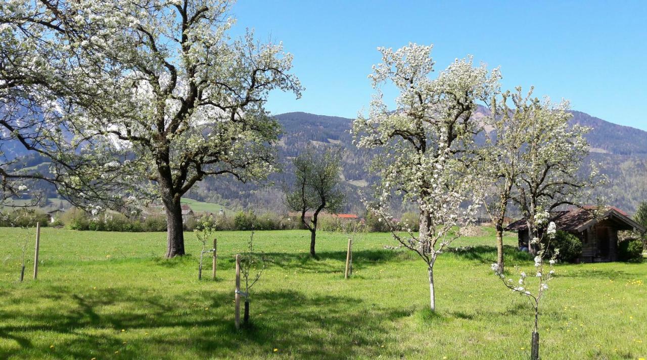קוכל Ferienwohnung Alpenblick מראה חיצוני תמונה